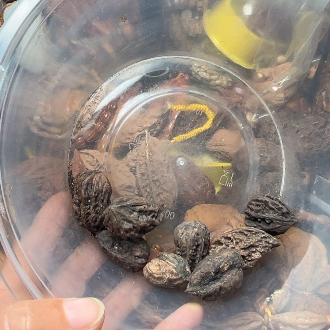 吊坠文玩核桃核桃123