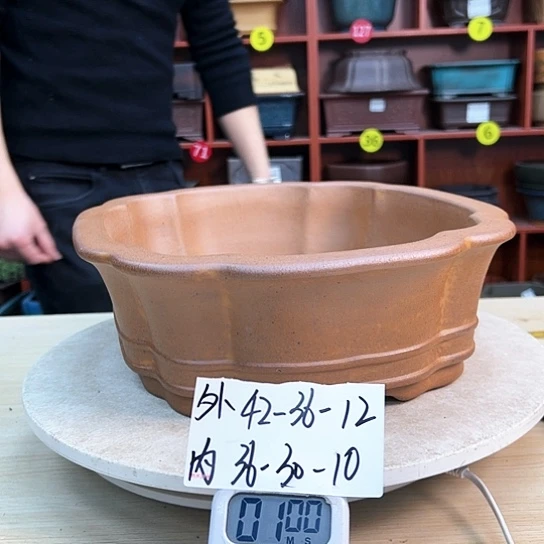 红陶伤**累紫砂花盆里放的东西