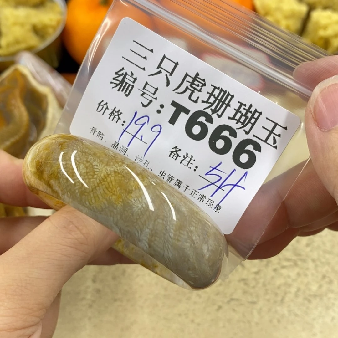 硅化珊瑚（珊瑚玉）1未镶嵌鱼