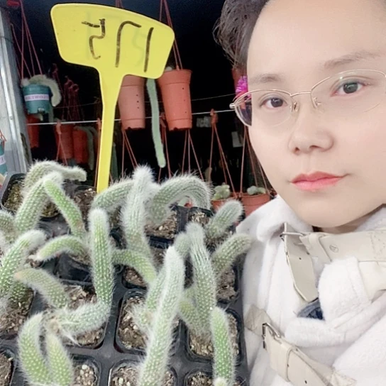 175带盆发货无售后