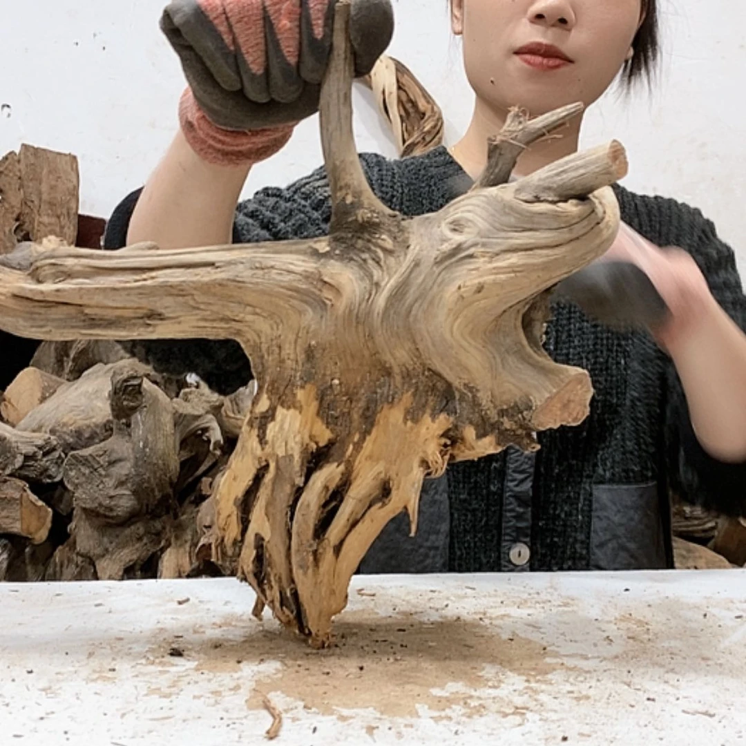 【闪购商品】柏木溜*我们都是好孩子