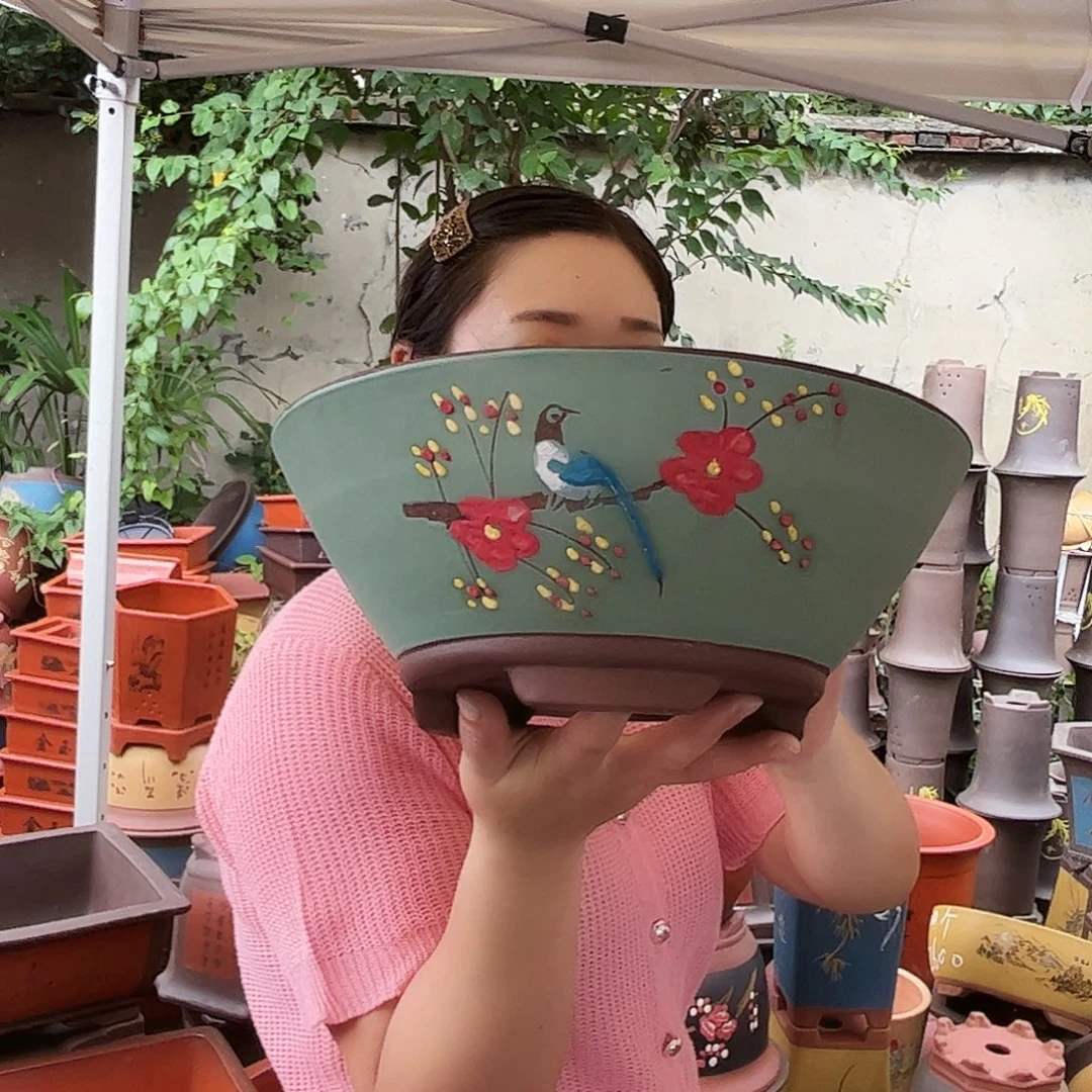 绿斗盆点菜大花盆花盆花盆