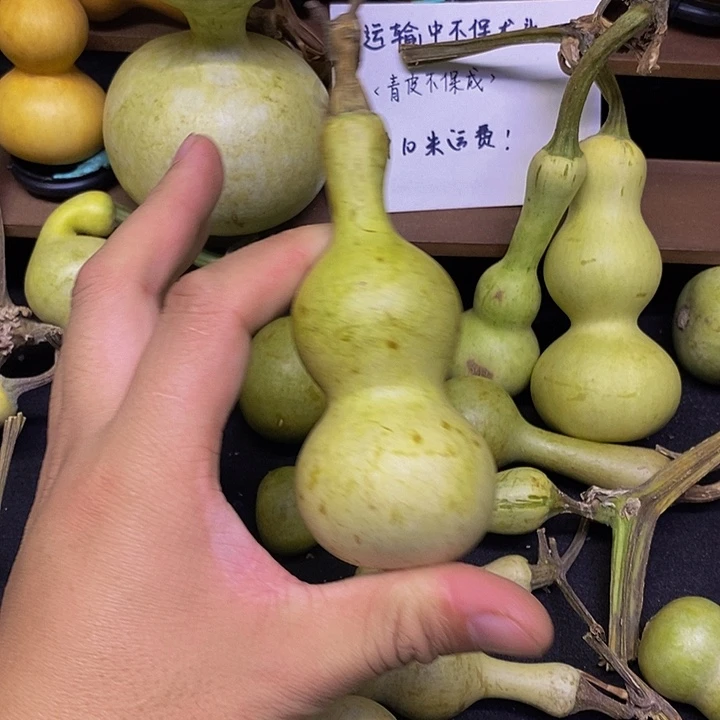 事**成长嘴巨巨巨斤斤计较我就说这哈哈哈哈哈哈太