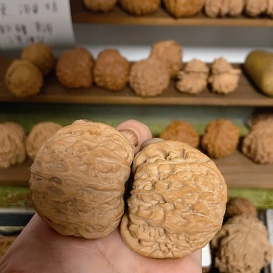 白狮子全品44.41.36