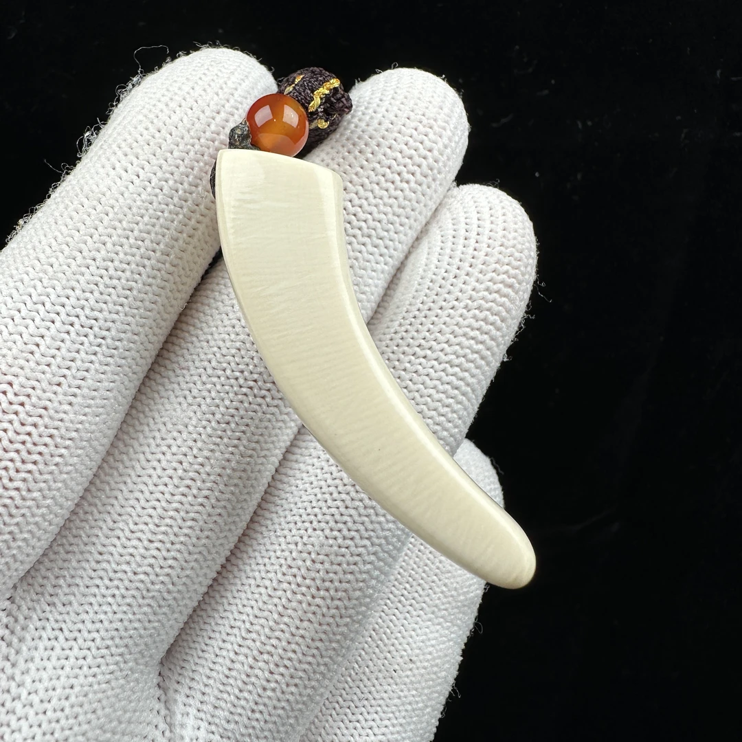 L3134天然猛犸牙 牙尖47mm支持鉴定 假一罚四