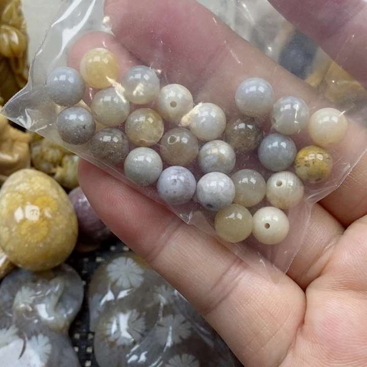 颈饰未镶嵌硅化珊瑚（珊瑚玉）