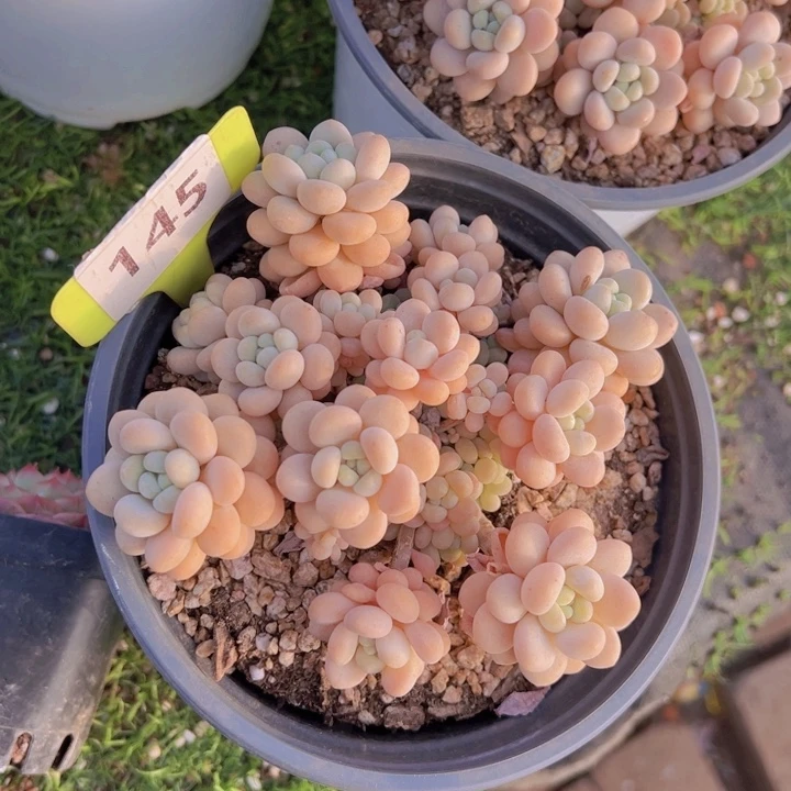 健健康康平平安安