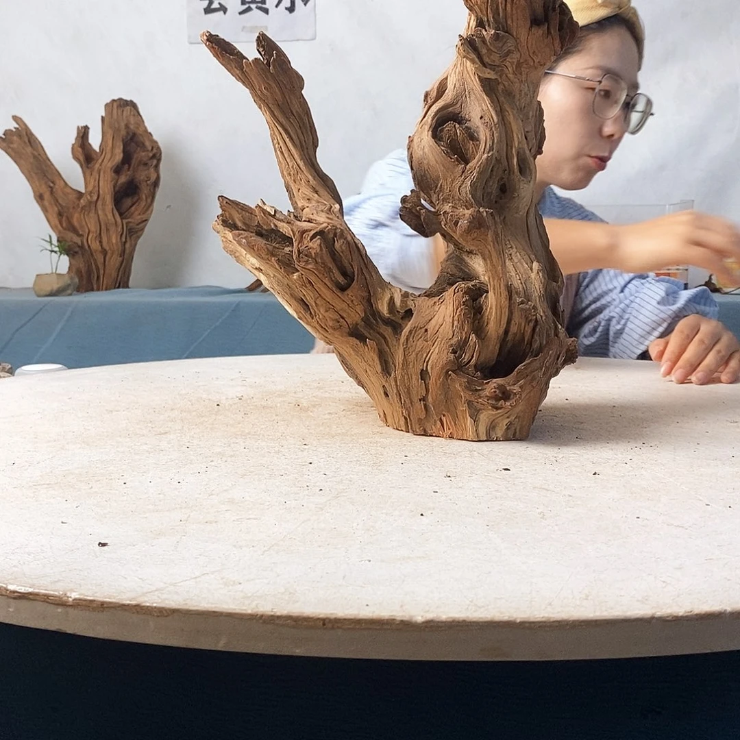 沉木造景寄居蟹景