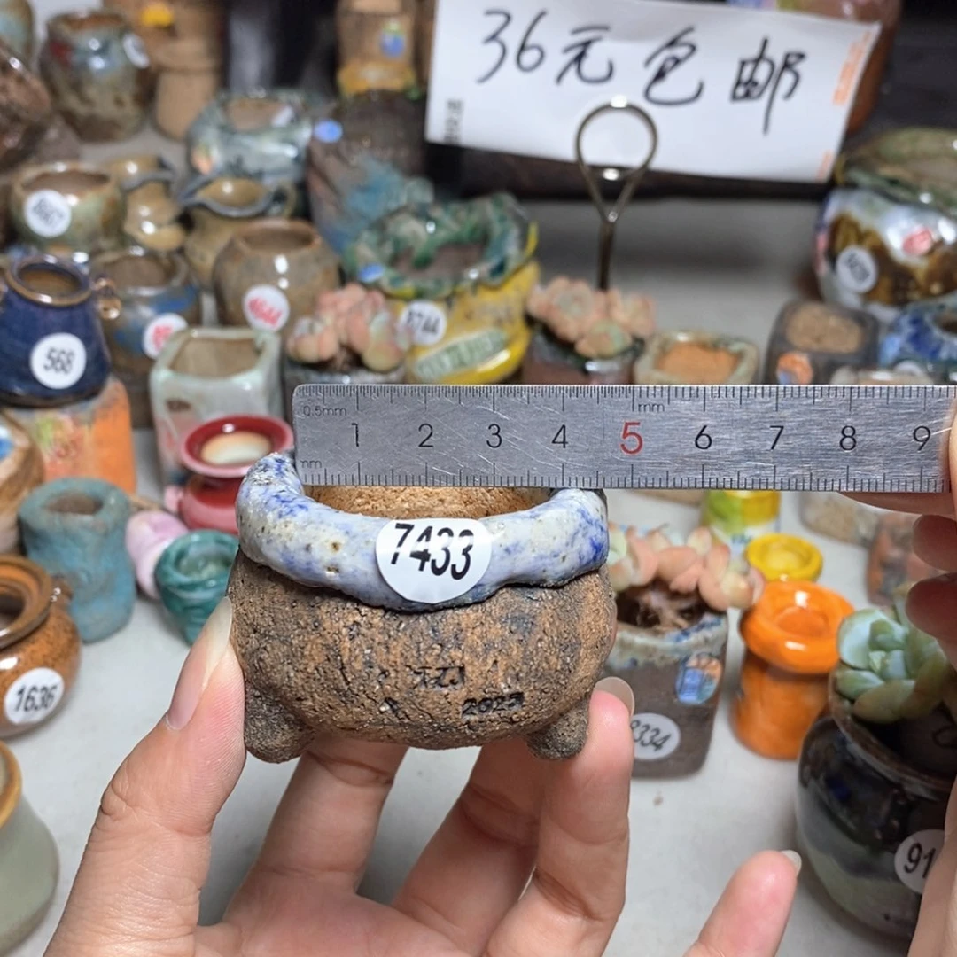 拍3送一个小礼物