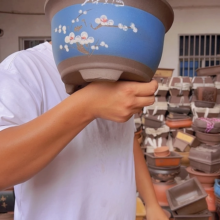 紫砂花盆紫砂花盆