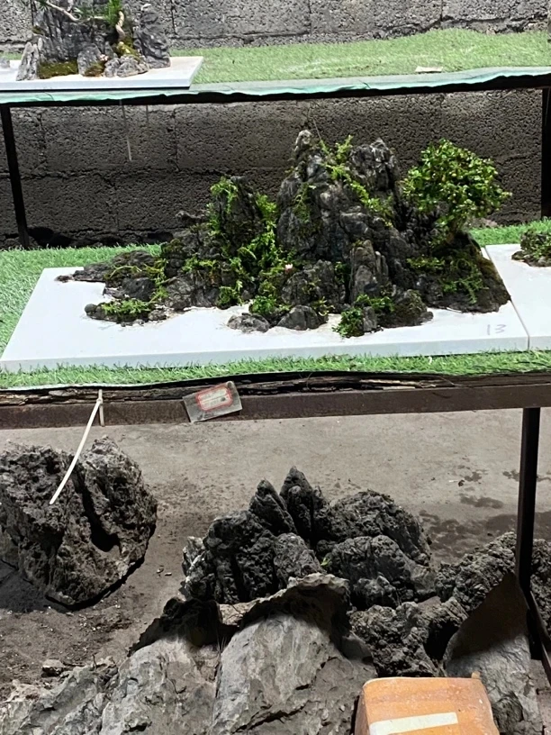 天然龟纹石，山水纹石，盆景鱼缸造景，直播链接，一物一拍