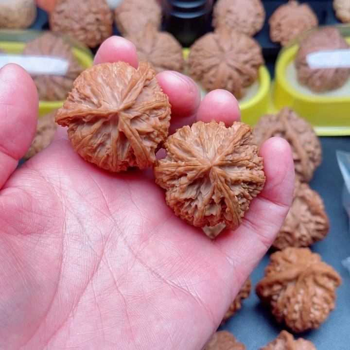 文玩核桃把件苹果园狮子头三棱39×39×38