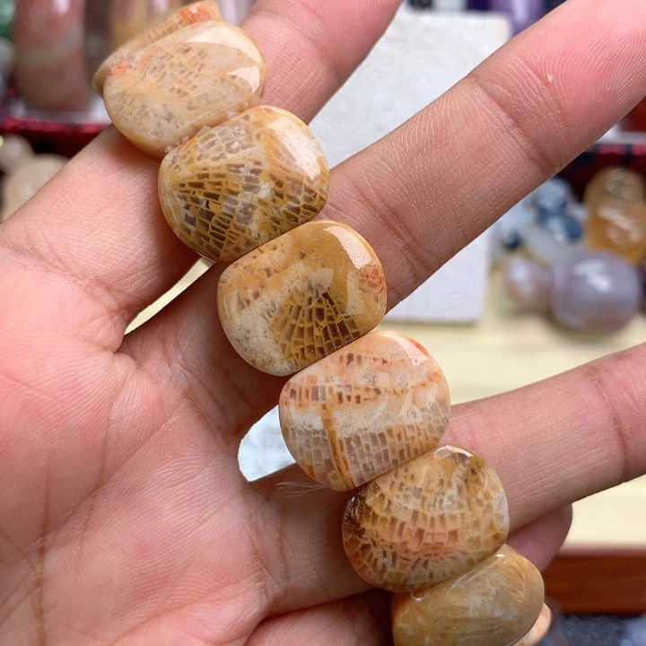 硅化珊瑚（珊瑚玉）未镶嵌颈饰