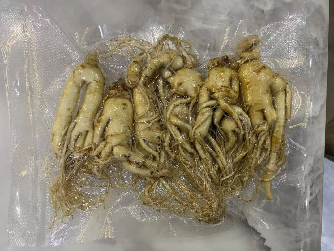 鲜人参250g一盒 已清洗