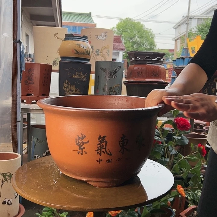 35紫气东来花盆花盆花盆