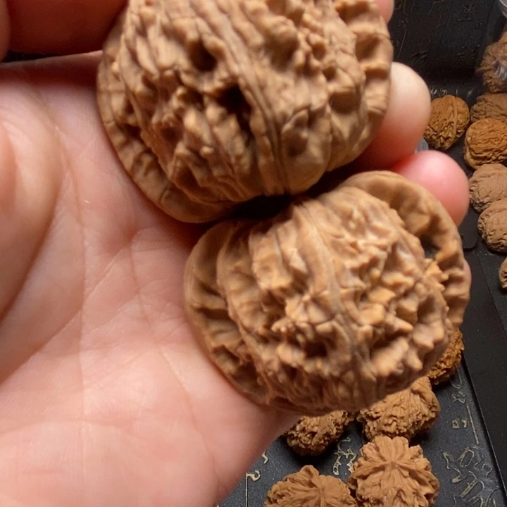 文玩核桃麻核桃白狮子