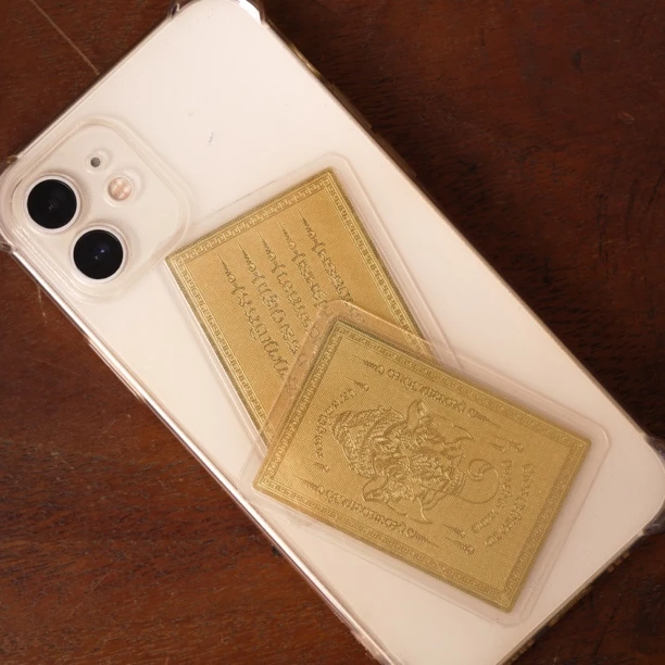 象鼻五条双面卡贴