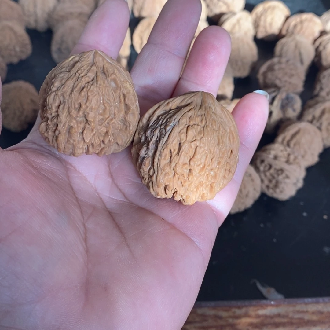 大叶紫檀（黑酸枝木类）沉***辰