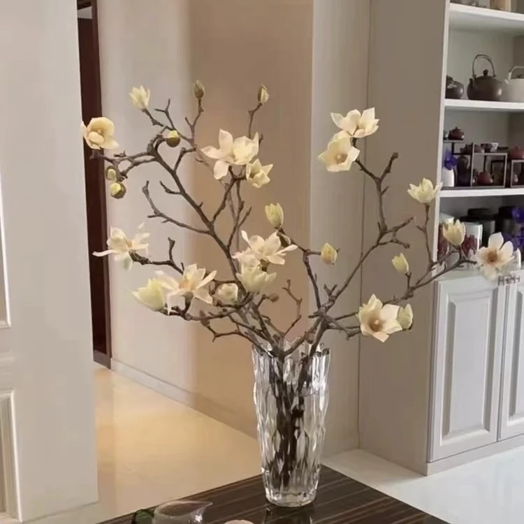 【玉兰】国风精品小众鲜切花（店内任意三单包邮）