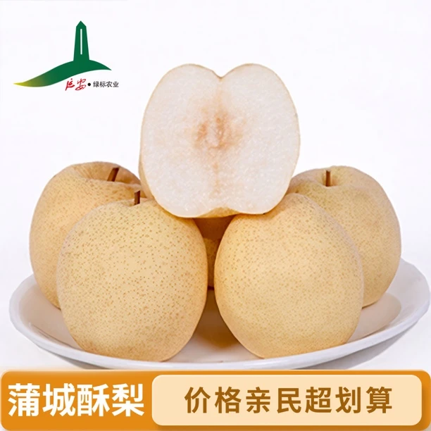 蒲城酥梨【京东包邮】正宗酥梨多汁皮薄肉厚口感脆甜产地新鲜砀山梨