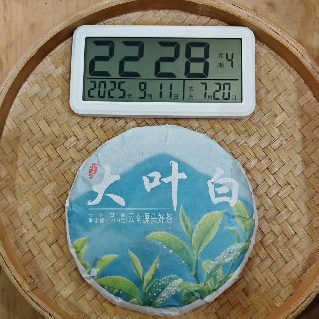 【13号】2025年 旧笼·大叶白·白茶·春 200克/饼 9月11日【507号】