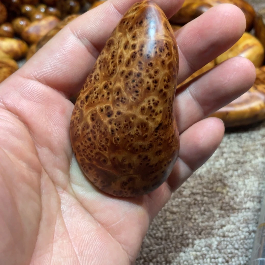 柏木（崖柏）其他把