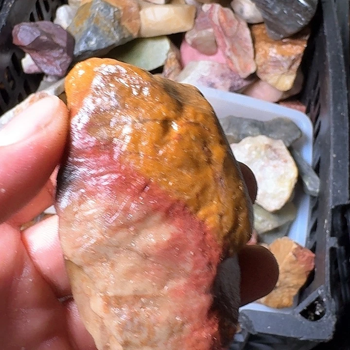 火***云寿山石寿山石的种类