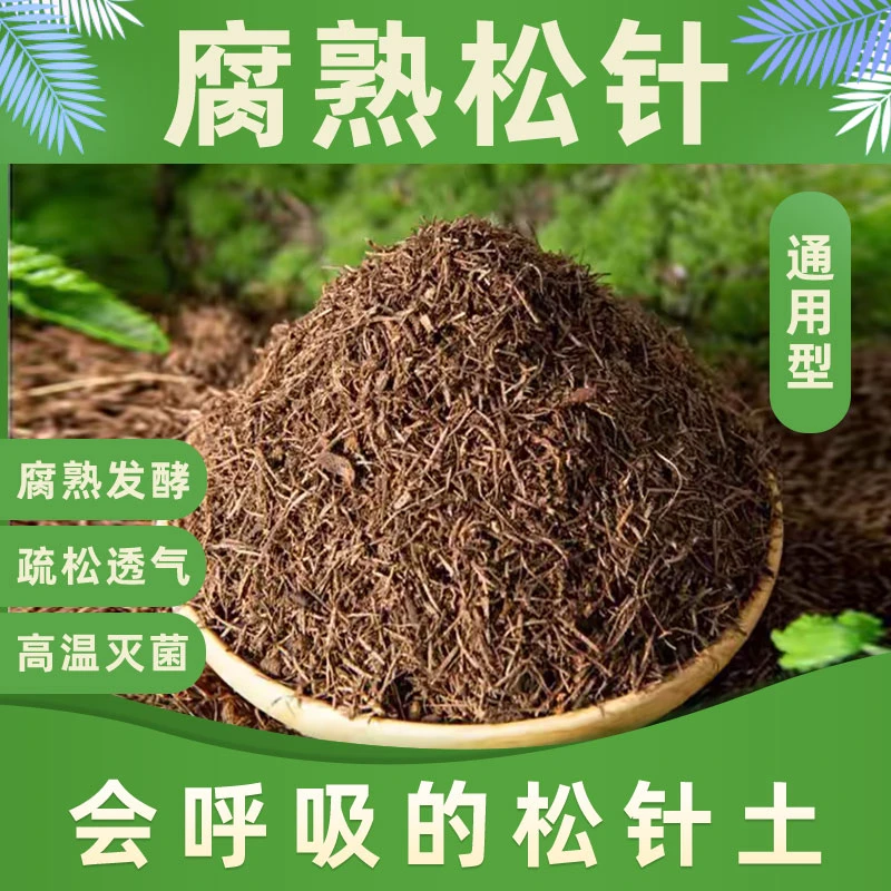 拍一发二筛选颗粒腐熟养花君子兰花蓝莓营养土腐叶土花盆盆栽专用