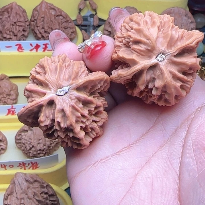 风***…我们核桃帝王帝王龙鳞帝王
