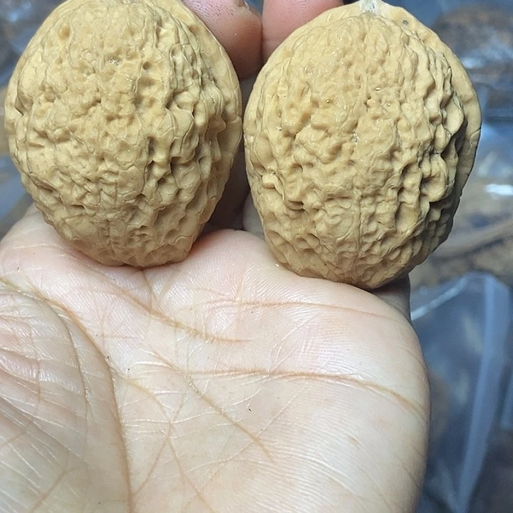 文玩核桃把件云南铁核桃基地99