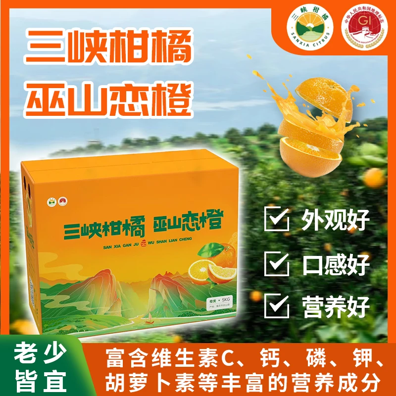 巫山恋橙10/20斤正宗巫山脐橙年货新鲜采摘大果偏远地区专拍包邮