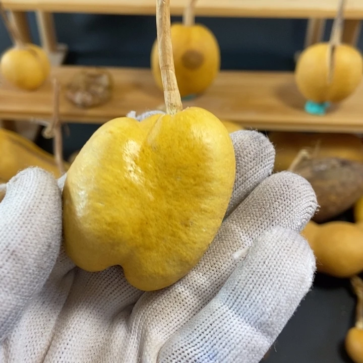 酒**子葫芦葫芦真的