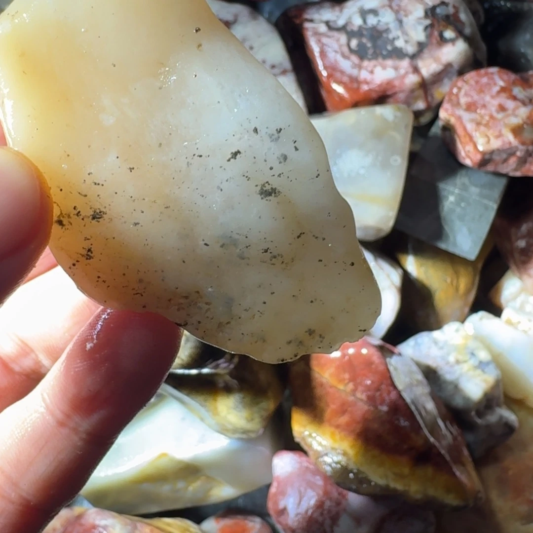 古***）寿山石88888888888888