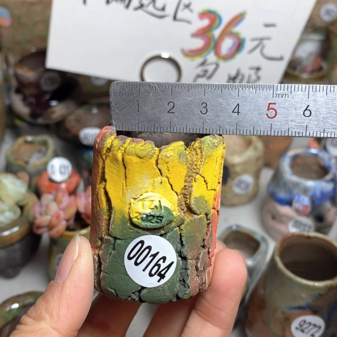 花盆拍3送一个小礼物