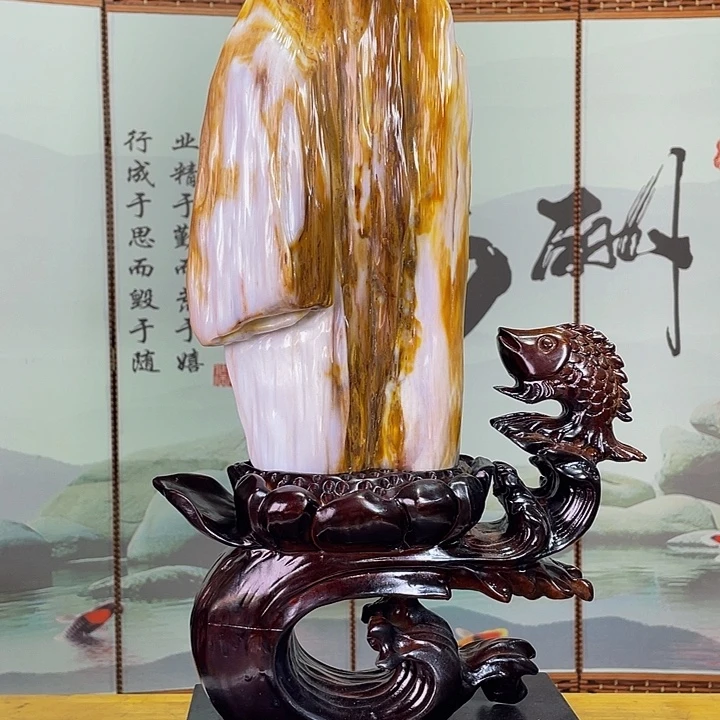 硅化玉未镶嵌珠宝奇石高53