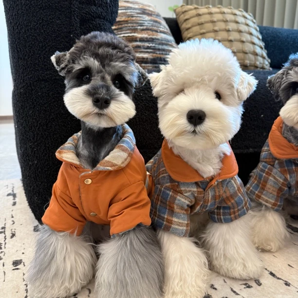 狗狗衣服冬季保暖雪纳瑞比熊泰迪柴犬西高地宠物棉服外套【四】