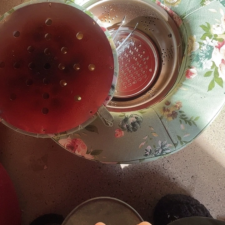 破***蝶艾绒05花色大号二手