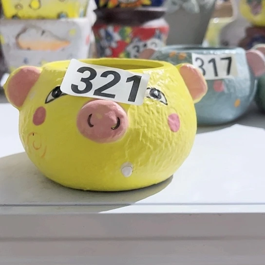 多肉植物花盆花盆