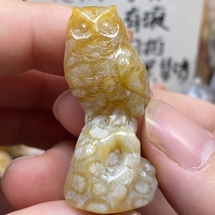 硅化珊瑚（珊瑚玉）未镶嵌颈饰