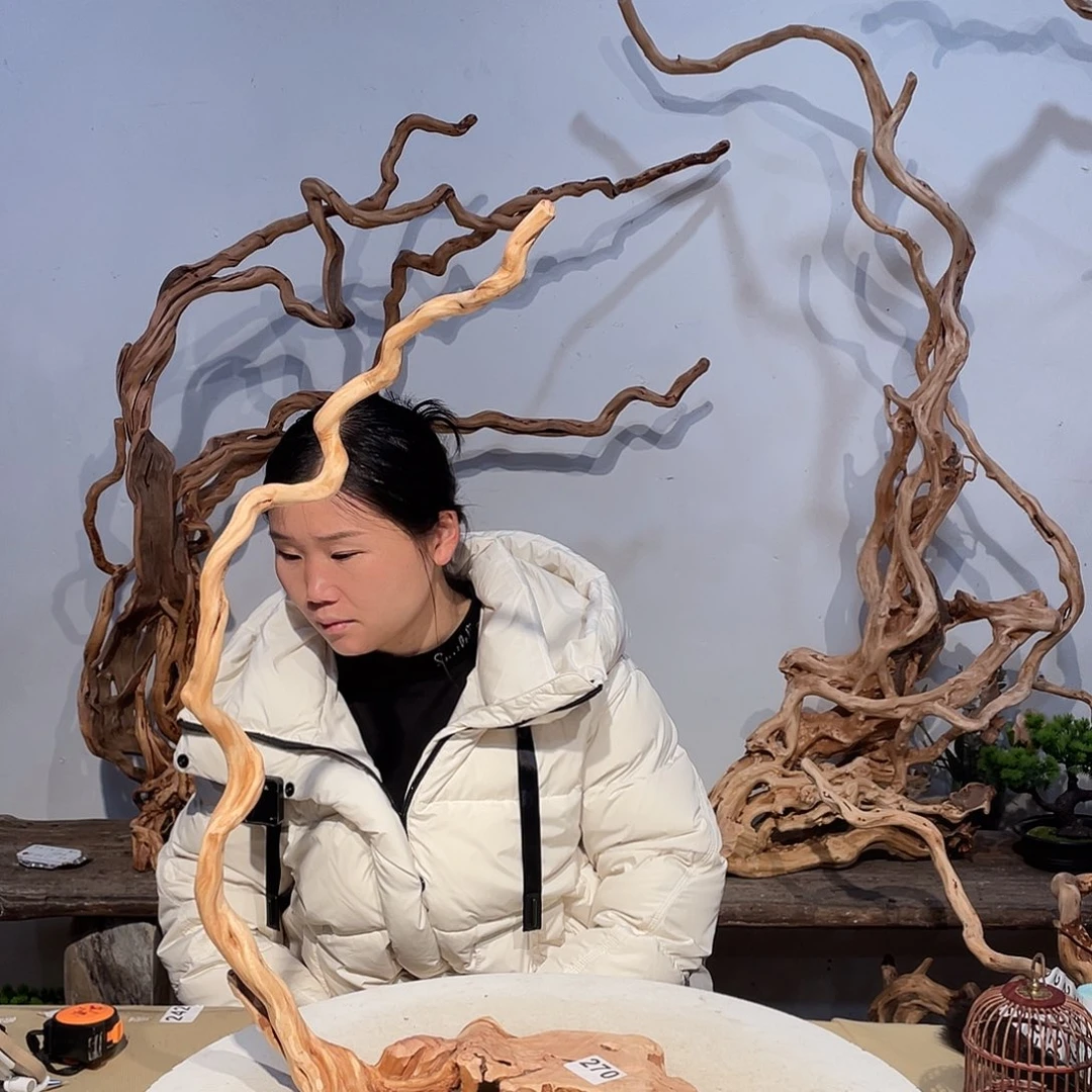 核桃木/黑胡桃（胡桃木）叟