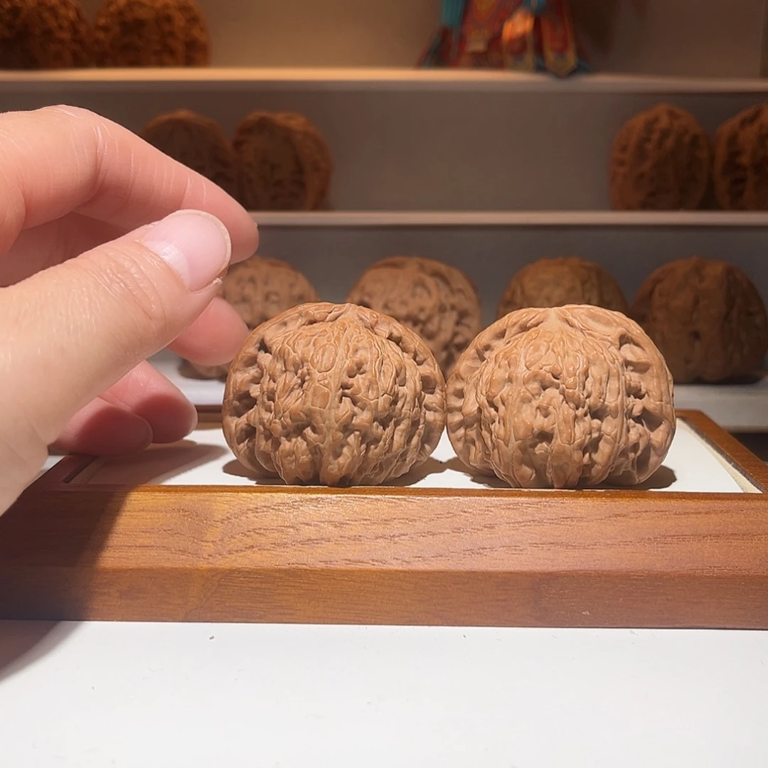 43闷尖白狮子，对歪福利