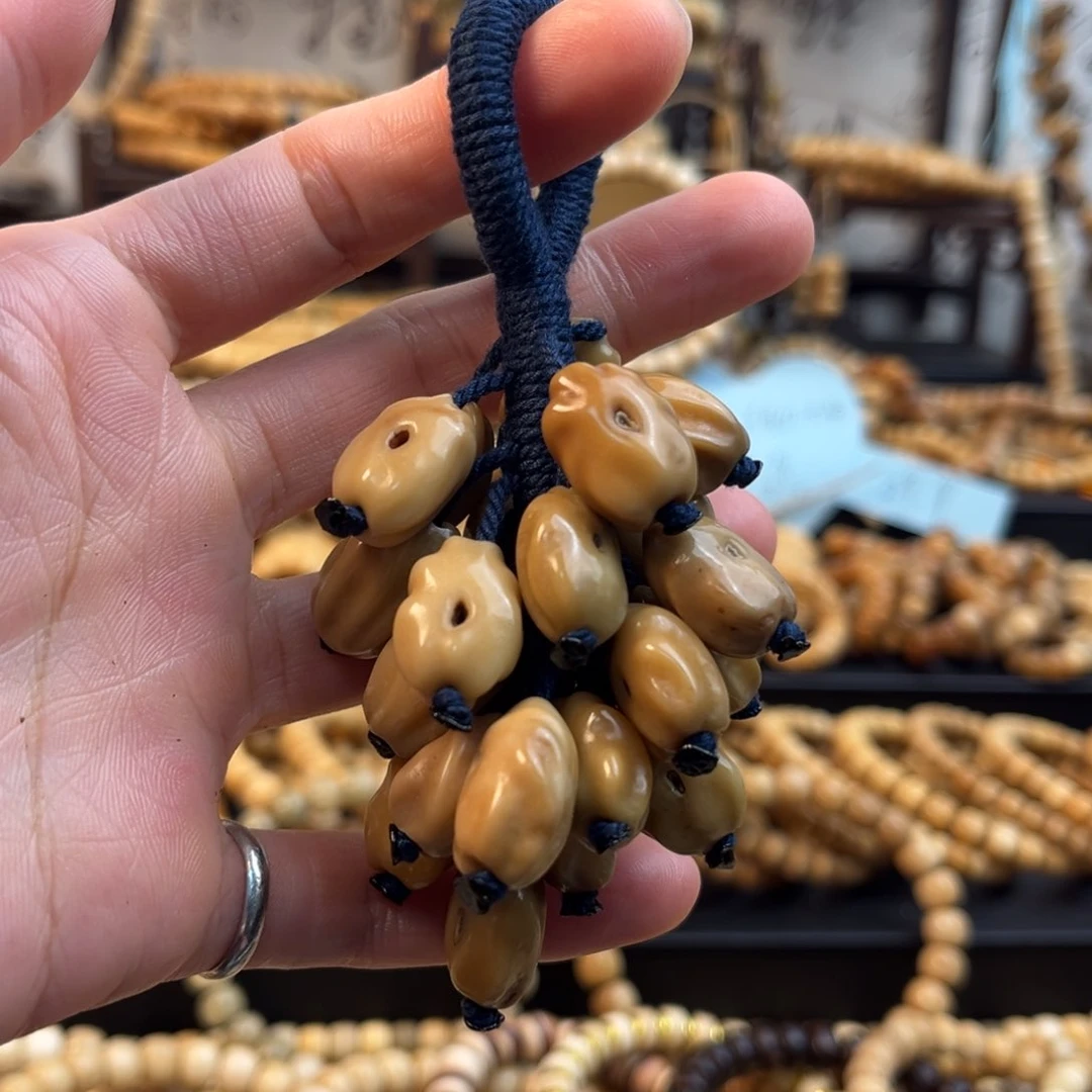 菩提籽类下*月葡萄串