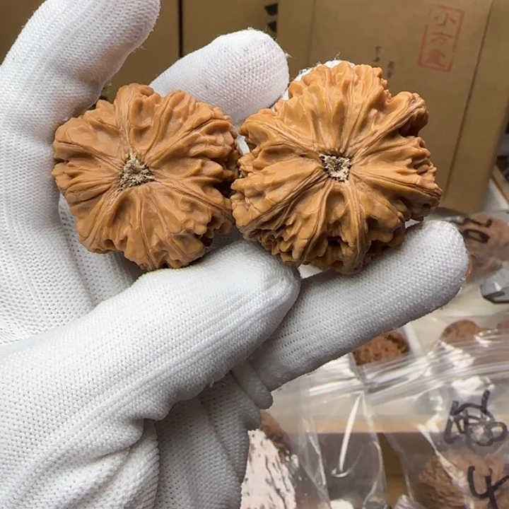 桃核把件打****腿42尺寸御龙三棱