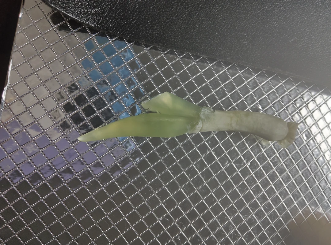 岫岩天然俏色小葱