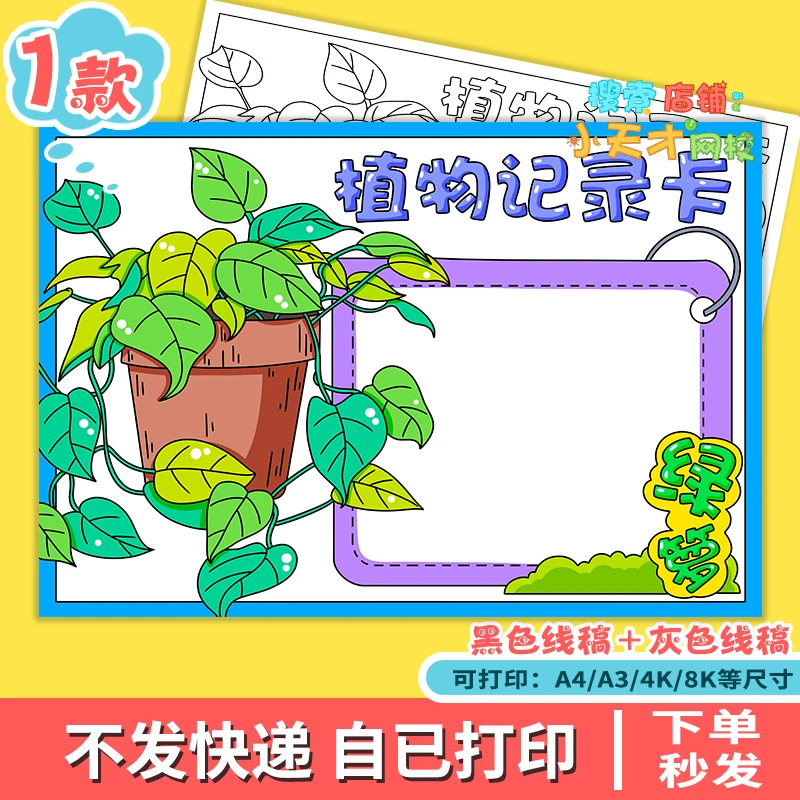 植物记录卡手抄报绿萝观察记录三年级植物生长名片电子线稿e301