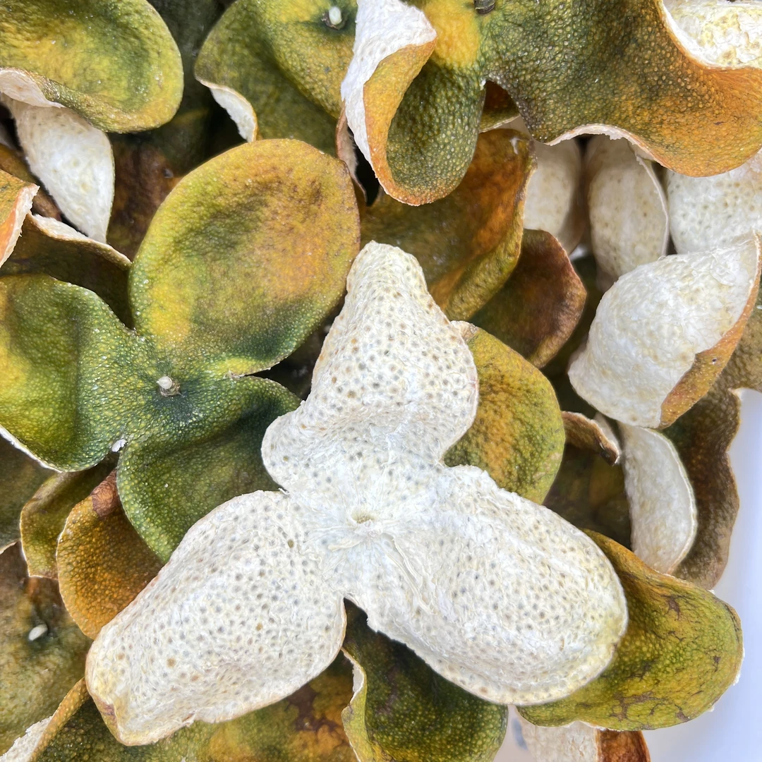 2025新会天马圈枝老树冬青皮微甜花香生晒冬至后13年圈枝老树青皮