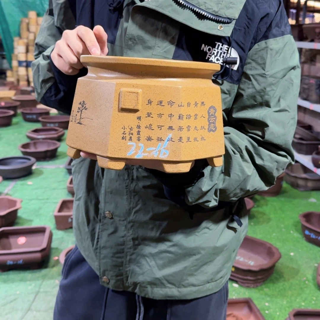 花盆紫砂紫砂花盆