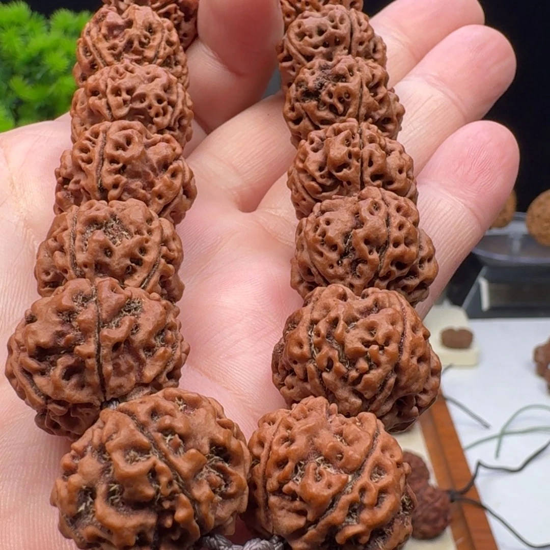 手串金刚菩提蜂窝双龙