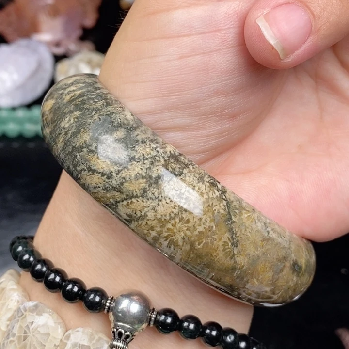 未镶嵌手镯硅化玉61