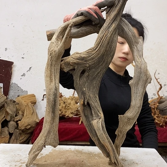 缘***艺柏木我们都是好孩子